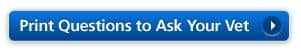 Print Questions to Ask Your Vet