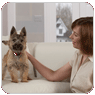 Dog image
