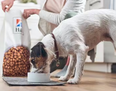 สุนัขกินอาหารสุนัข Hill's Pet