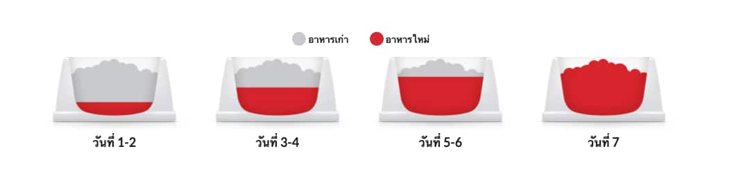 Hill's food transition