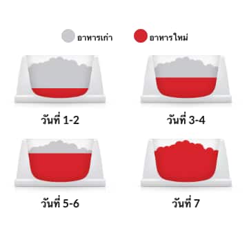 Hill's food transition